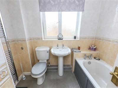 Picture 20